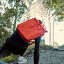 Roll-Top Backpack in green worn on the back, close-up of the roll-top and cord